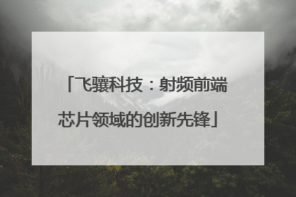 飞骧科技：射频前端芯片领域的创新先锋